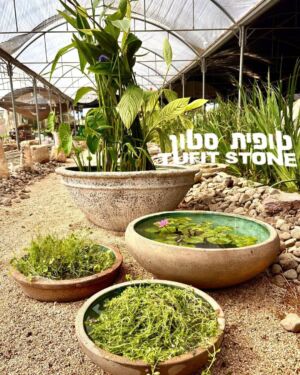 כדים לגינה