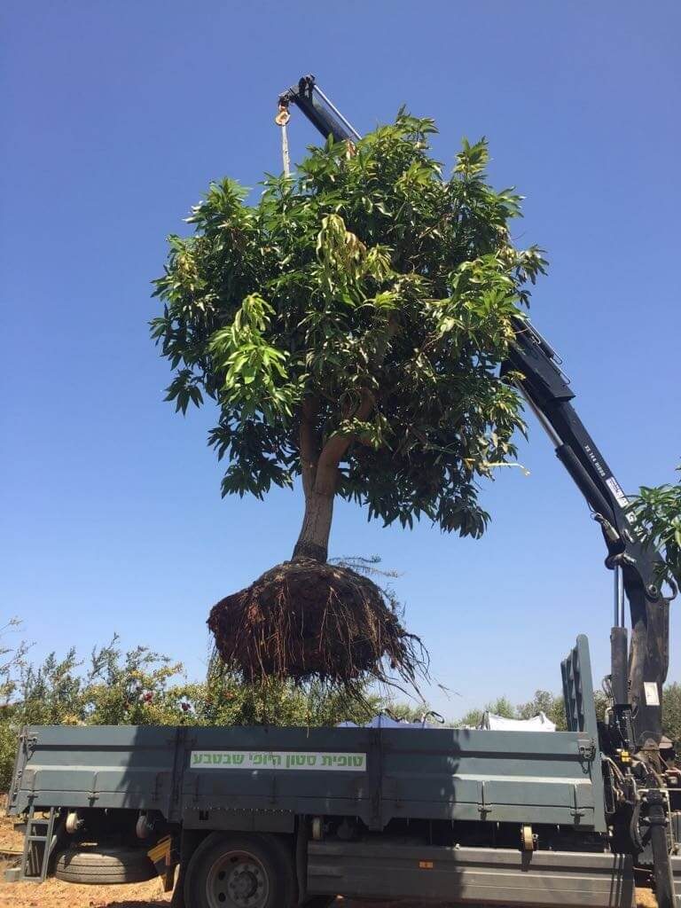 ריצוף חוץ אנטי סליפ